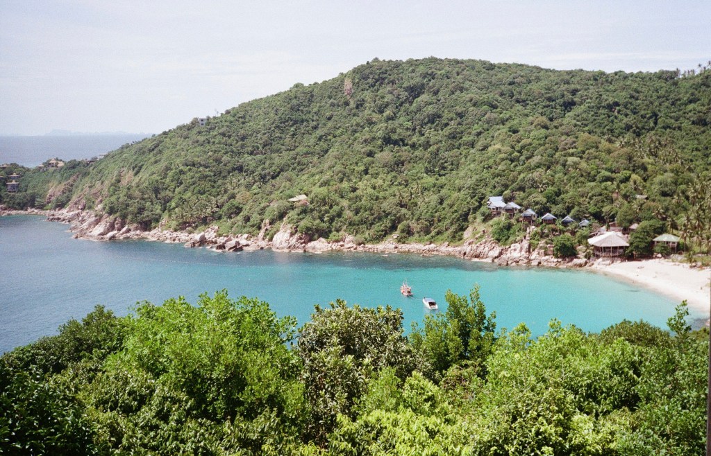 Why Taurus Came Into Your Life (and What They’re Here to Teach&nbsp;You)