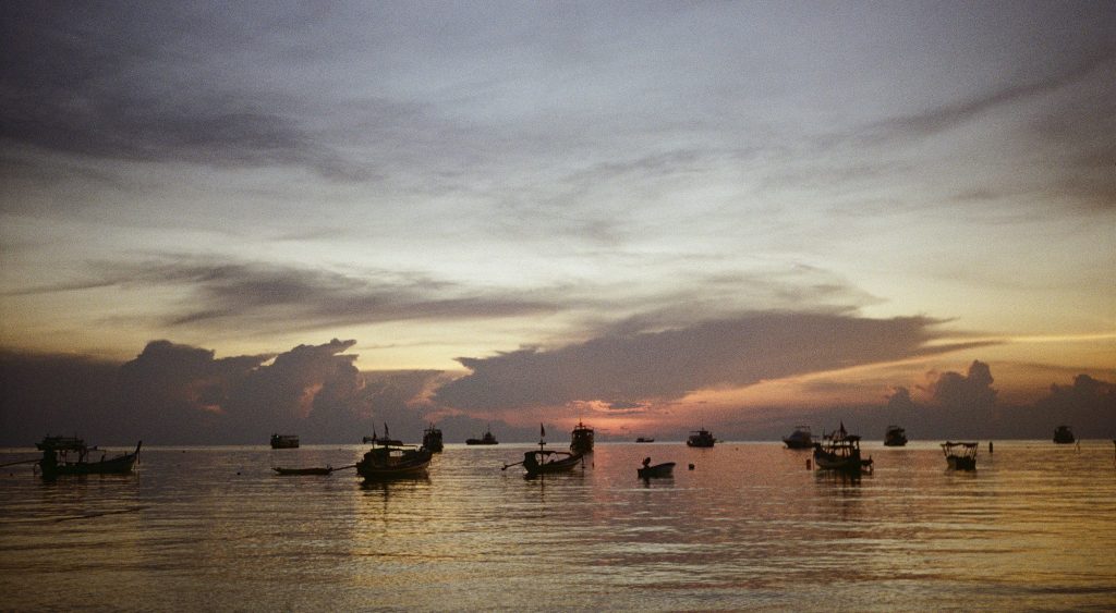 Bones and All and the Astrology of Love That&nbsp;Devours