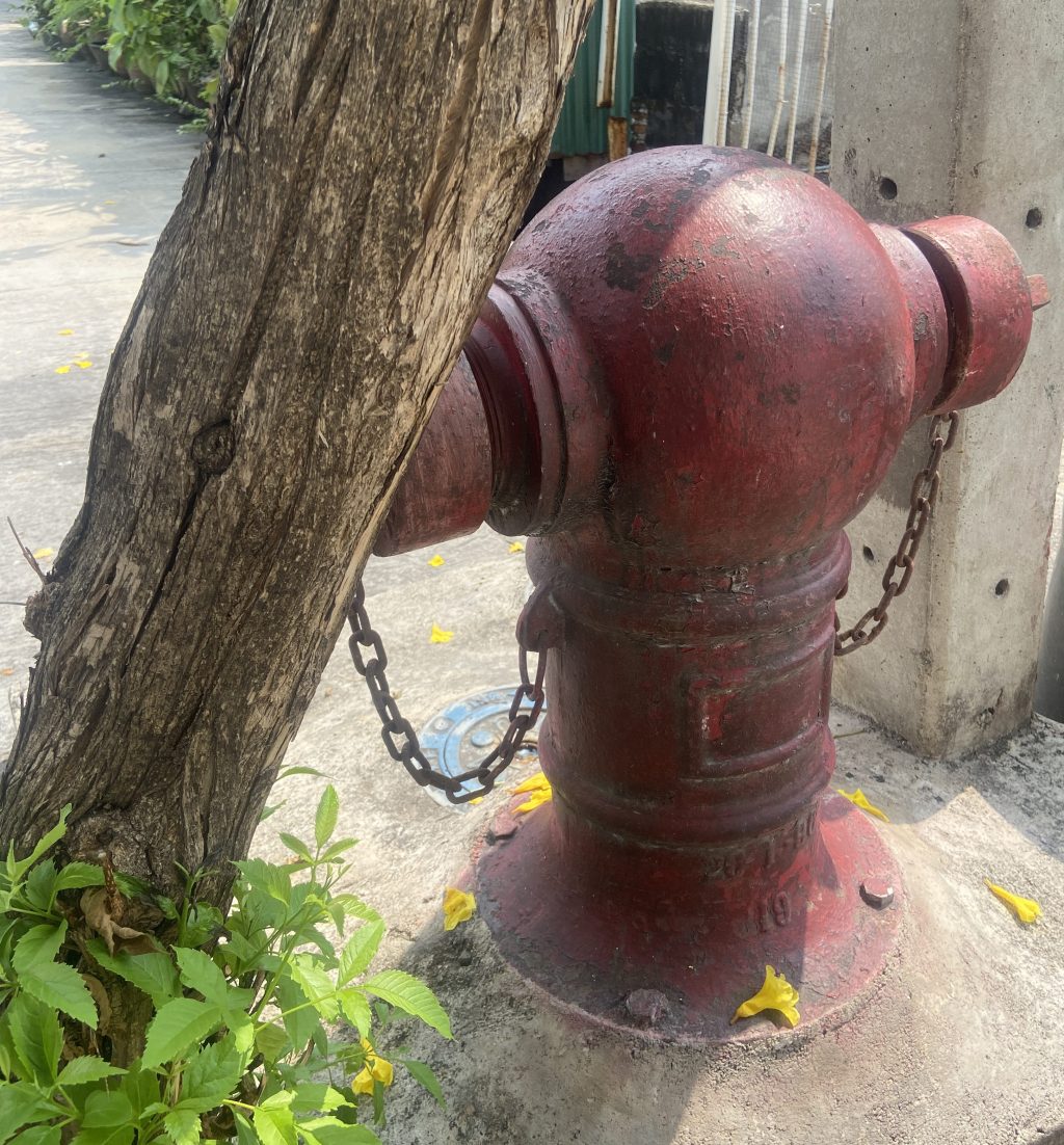 Healing, Predators, and the Fear of Dying&nbsp;Alone